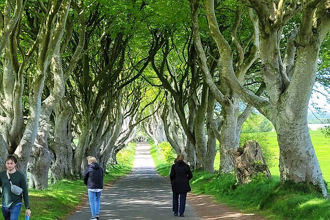 4 Hours Private Belfast City Tours - Belfast Castle: Hilltop Views and a Victorian Stop That Breathes