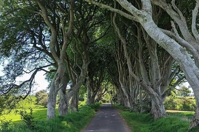Belfast & Giants Causeway Luxury Mercedes Private Tour for 6 pax - Key things that make this tour worth your time