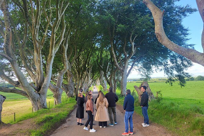 Belfast & Giants Causeway Luxury Mercedes Private Tour for 6 pax - Dunluce Castle and the Dark Hedges: ruins and film-location vibes