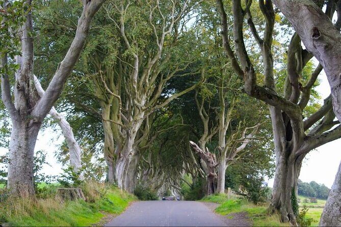 Experience the Antrim Coast and the Land of Giants - Private Tour - Bushmills Distillery: the break that adds variety