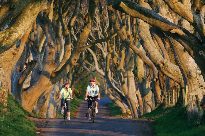 From Belfast-Giants Causeway, Dunluce Castle and Dark Hedges tour - Price and value: what $69.45 gets you (and what it doesn’t)