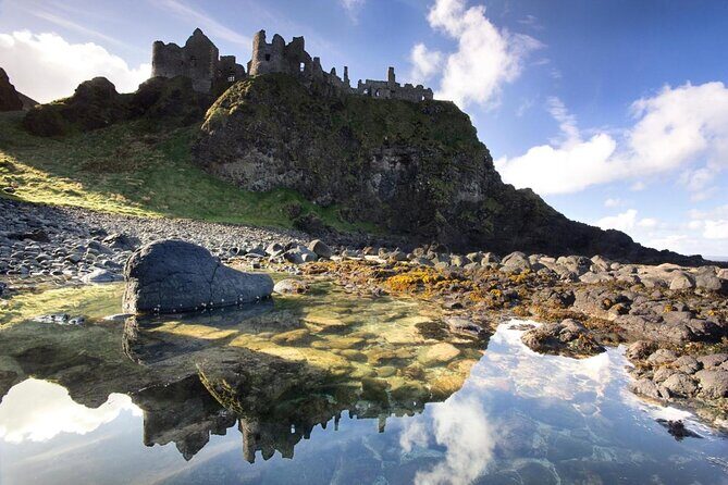 From Belfast-Giants Causeway, Dunluce Castle and Dark Hedges tour - Giant’s Causeway UNESCO columns: your 1.5-hour highlight window