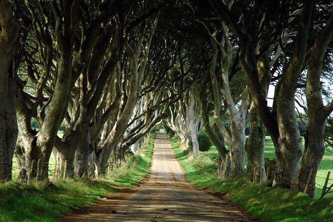 Game of Thrones and Giant's Causeway Day Tour from Belfast - From Belfast to Westeros: what this day trip is really good at
