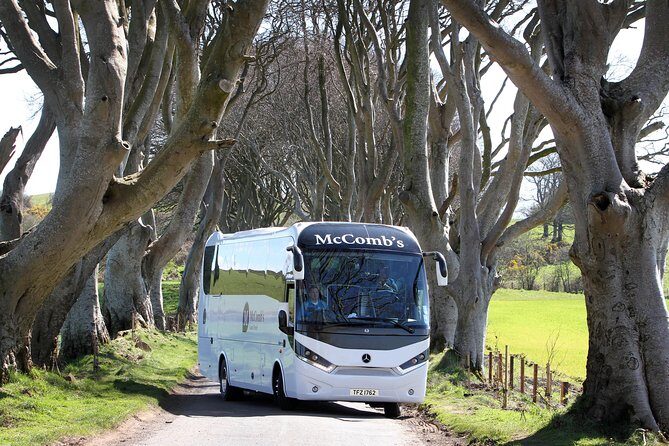 Game of Thrones and Giant's Causeway Full-Day Tour from Belfast - Cushenden Caves and Larrybane Quarry: Where the GoT Details Matter