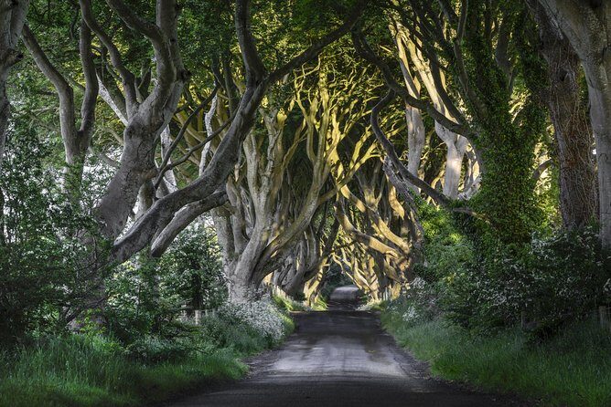 Game of Thrones and Giant's Causeway Full-Day Tour from Belfast - Portaneevy View Point to Ballintoy Lunch: Ropebridge Views and Door of Thrones