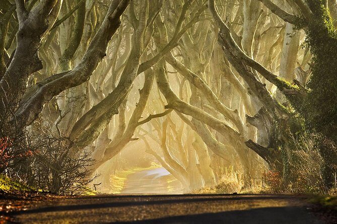 Game of Thrones - Private Audi A6 tour with Richard the Wildling - Stop 2: Carnlough Harbour and Aria’s limestone steps escape