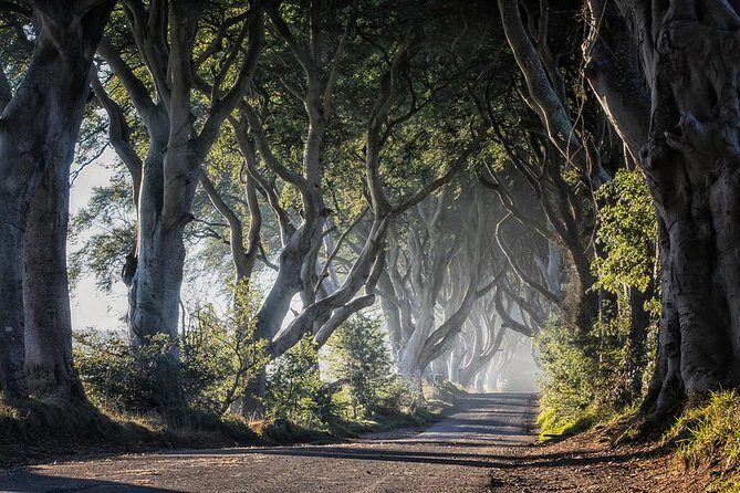 Giant's Causeway and more including Titanic Experience Ticket Tour from Belfast - Dunluce Castle ruins and North Atlantic Coast views: the in-between moments matter