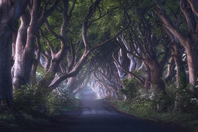 Giants Causeway & Game of Thrones Tour from Belfast - Private Tour Pace: No Waiting, No Group Chaos