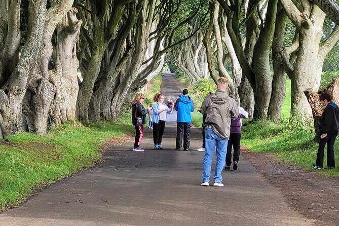 Giants causeway private tour 1 to 7 people - Stop 6: Carrick-a-Rede rope bridge with National Trust nerves and views