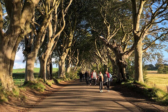 Giants Causeway, Rope Bridge, Carrickfergus Castle and Dark Hedges Tour - Carrick-a-Rede Rope Bridge: Plan for Viewpoint Photos