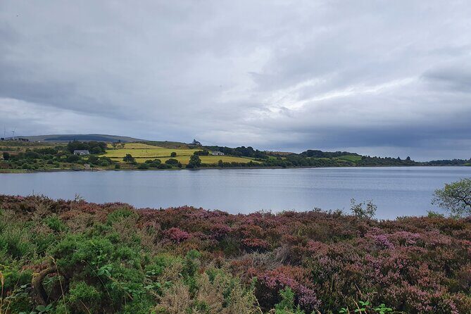 Ireland North Coast MEGA Trip for up to 8 Passengers - Price and value: $953.03 per group can be a strong deal