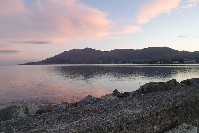 Ireland North Coast MEGA Trip for up to 8 Passengers - Who this tour fits best