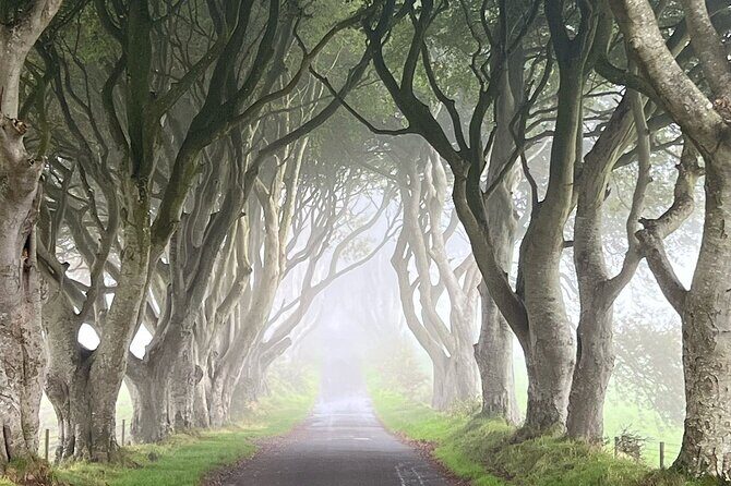 Private Coast Tour in Belfast - Causeway Coastal Route: the drive that ties it all together