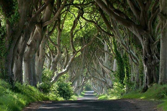 Private Game of Thrones including Giant's Causeway Causeway Coast Rope Bridge - Key highlights to know before you go