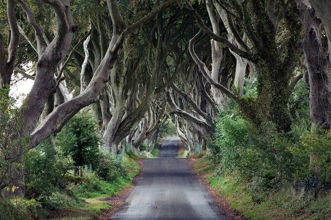 Private Giant's Causeway Tour including Game of Thrones Sites - Bushmills Distillery: about 2 hours in whiskey country