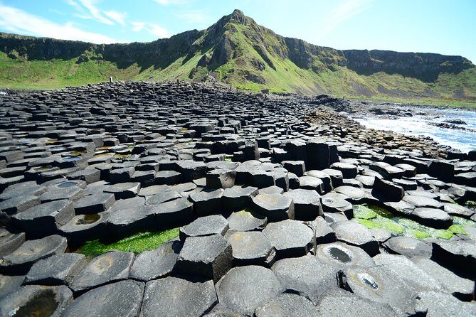 Private Tour: 'Game of Thrones' and Giant’s Causeway Full-Day Tour from Belfast - Ballycastle, Ballintoy, and Harbour Stops: Real Places for Westeros Vibes